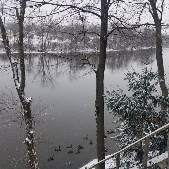 Kelly - Picture 6 of 11